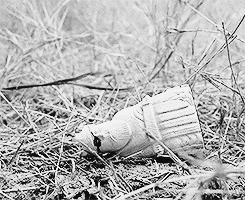 Governor chess piece